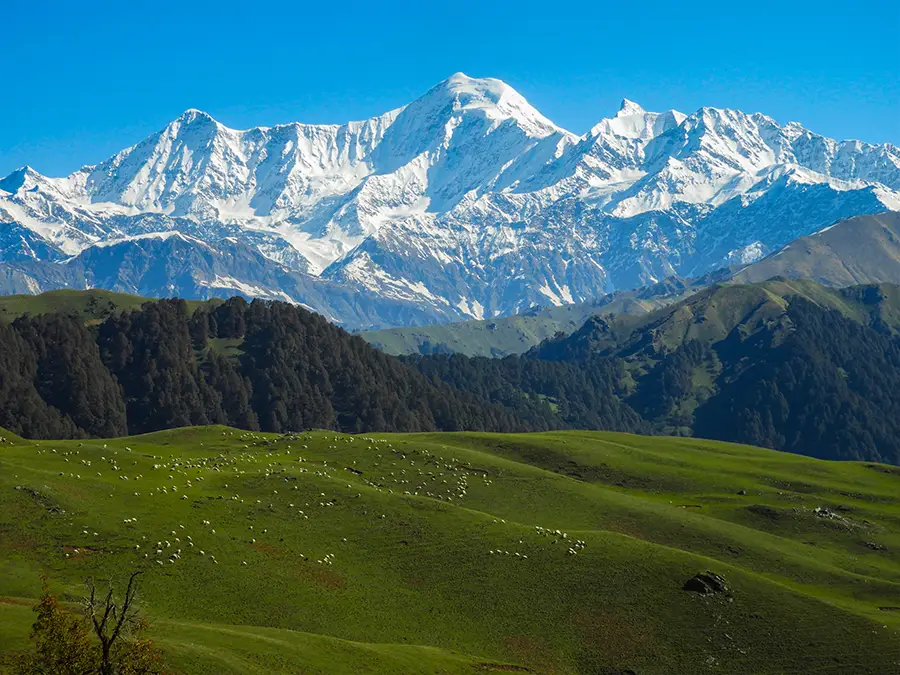 Dayara Bugyal Trek Summer Camp