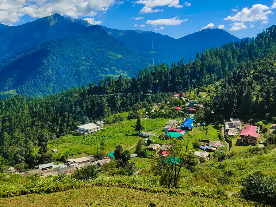Dayara Bugyal Trek Summer Camp