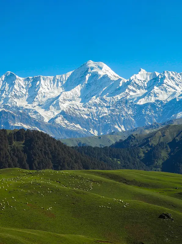 Dayara Bugyal Trek Summer Camp