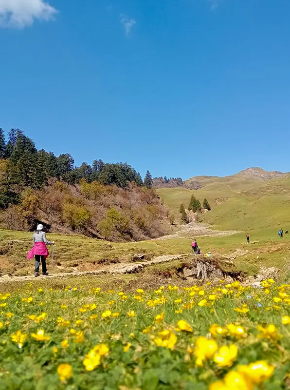 Dayara Bugyal Trek Summer Camp