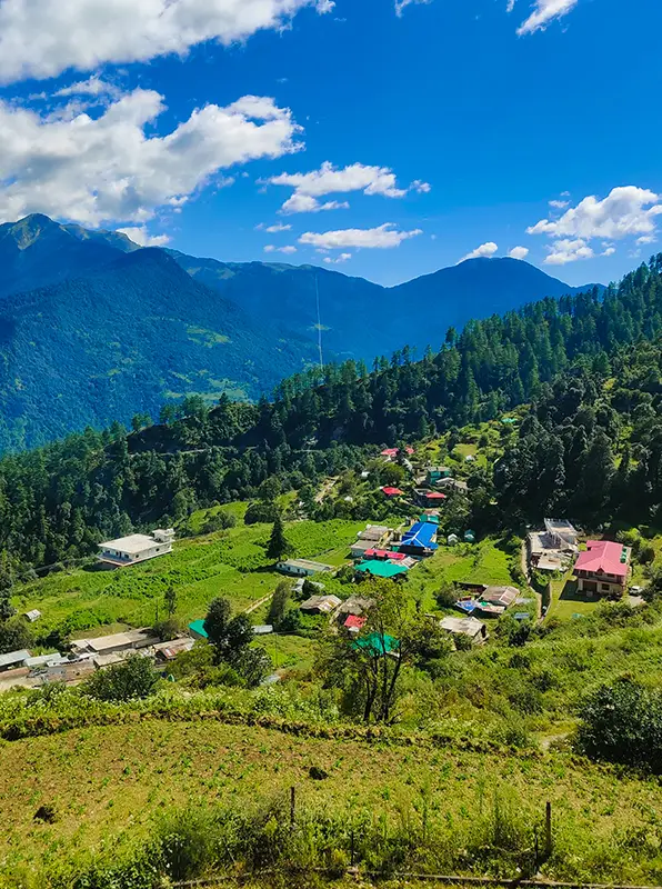 Dayara Bugyal Trek Summer Camp