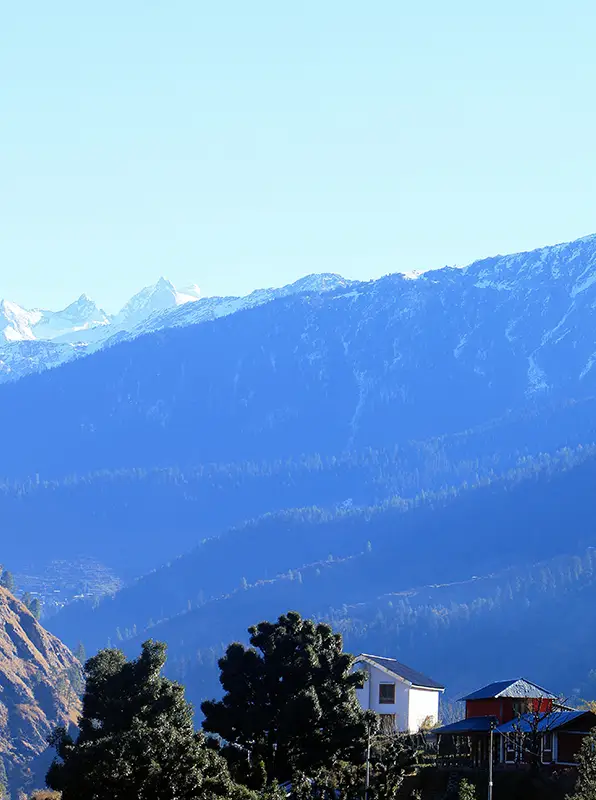 Kedarkantha Trek Summer Camp