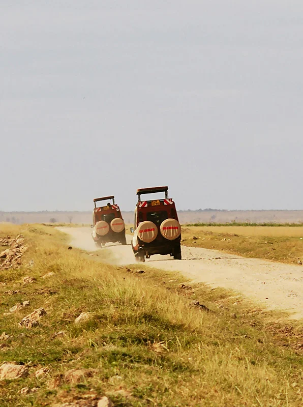 kilimanjaro Safari