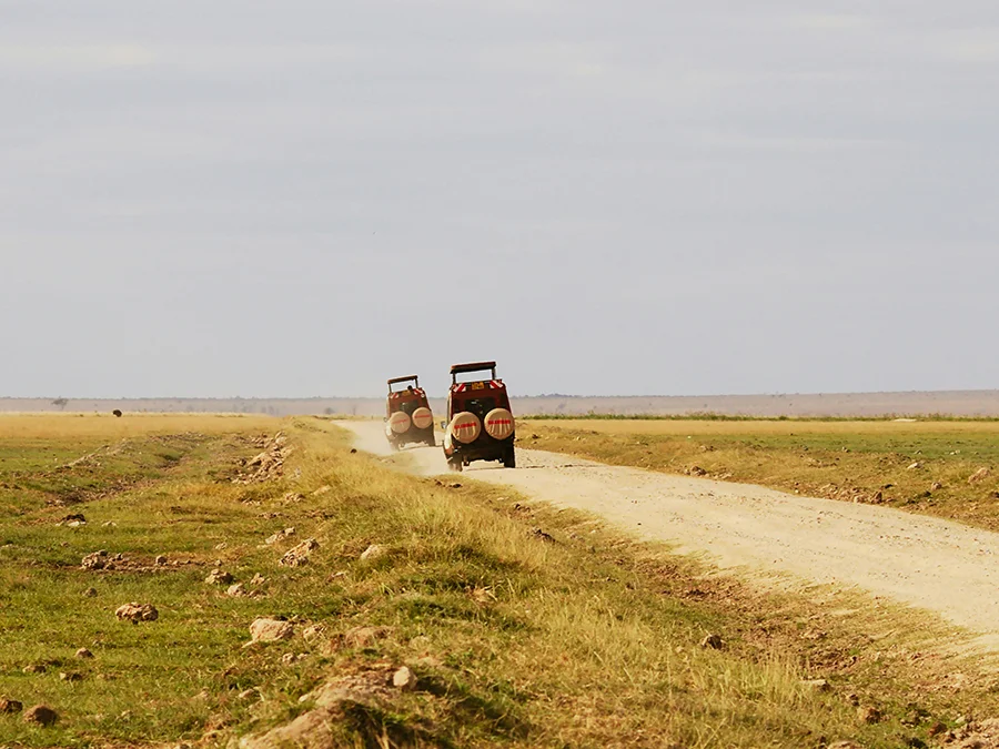 kilimanjaro Safari