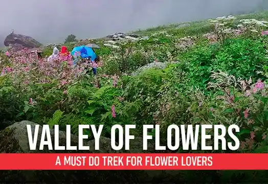 Valley of Flowers: A Must Do  Trek for Flower Lovers