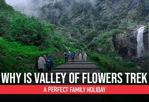 Why is Valley of Flowers trek a perfect family holiday
