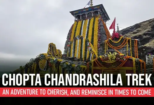 Chopta Chandrashila Trek : Trek The Himalayas 