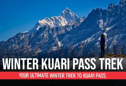 Kuari Pass Trek 2024 - Best Winter Trek in India