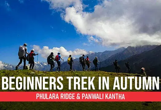 Best Trek for Beginners in Autumn – Phulara Ridge & Panwali Kantha