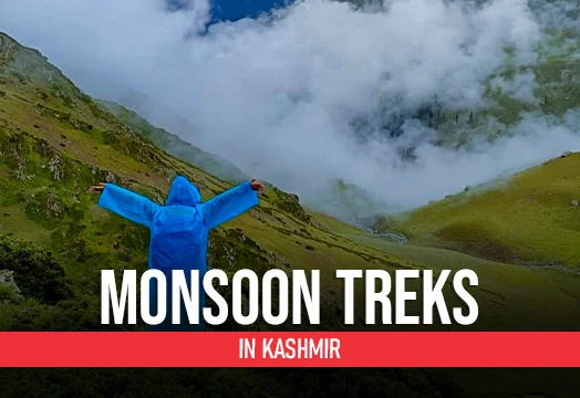 Monsoon Treks in Kashmir - Trek The Himalayas 