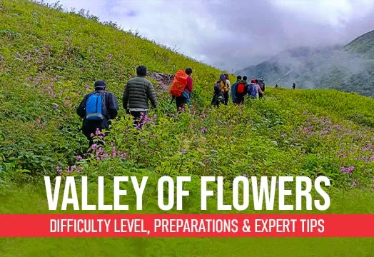 Valley of Flowers – Difficulty Level, Preparations & Expert Tips