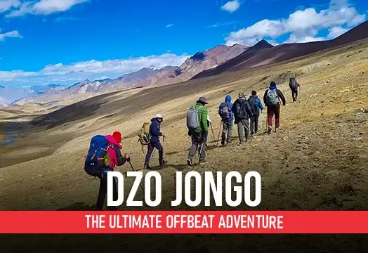 Dzo Jongo: The Ultimate Offbeat Adventure