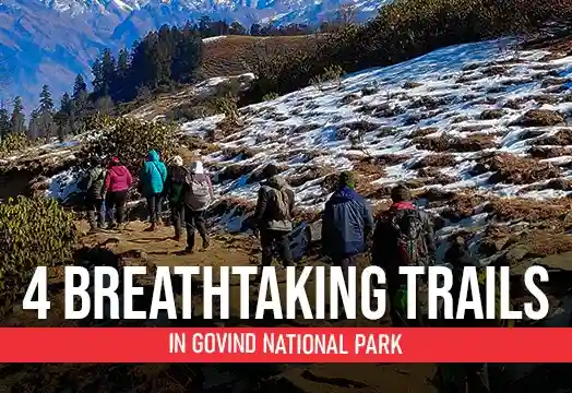 4 Breathtaking Trails in Govind National Park