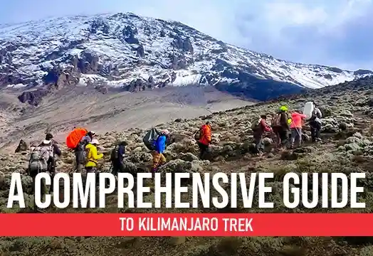 A Comprehensive Guide To Kilimanjaro Trek