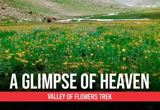 Valley of Flowers - Glimpse of Heaven with Trek The Himalayas