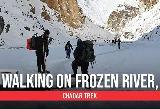 Chadar Frozen River Trek, Ladakh - Trek The Himalayas 