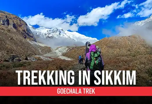 Goechala Trek - Trekking in Sikkim with Trek The Himalayas