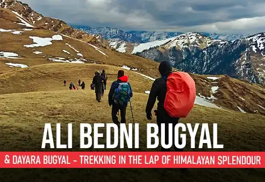 Ali Bedni Bugyal & Dayara Bugyal - Trekking in the Lap of Himalayan Splendour