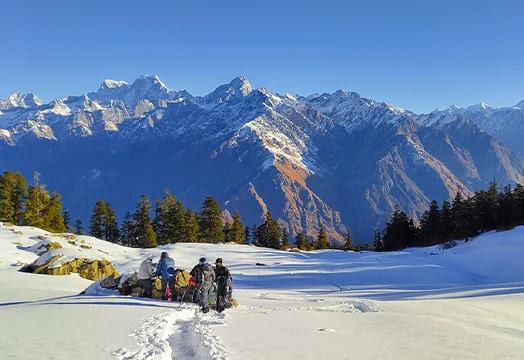 Ultimate Winter Kuari Pass Trek Guide for Beginners