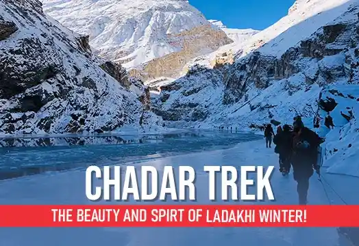 Chadar Trek: The Beauty and Spirt Of Ladakhi Winter!