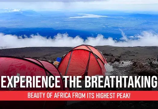 Kilimanjaro Peak Trek Expedition - Africa's  Highest Peak