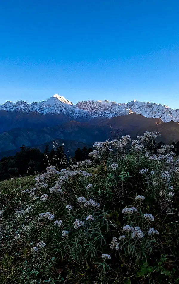 Bagji Bugyal Trek