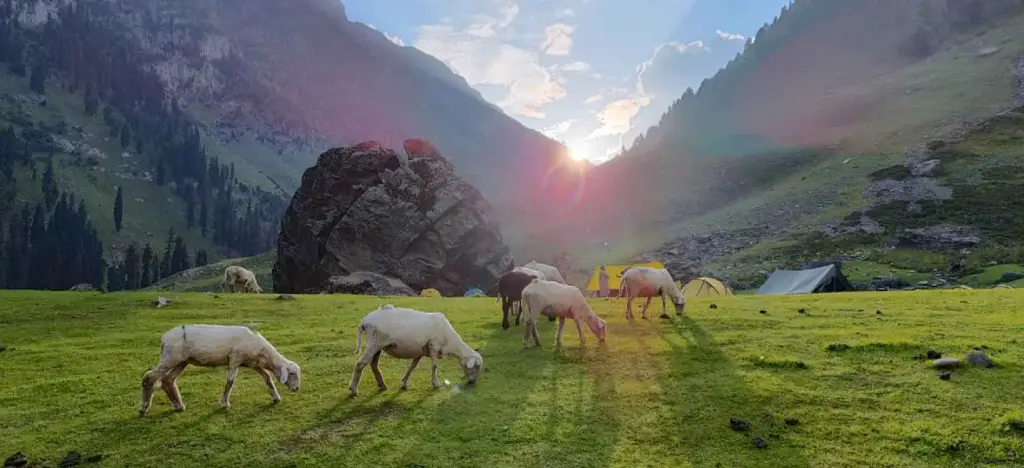 Kashmir Great Lakes Trek