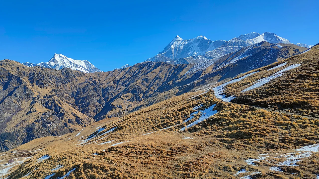 Ali Bedni Bugyal Trek, Trek The Himalayas