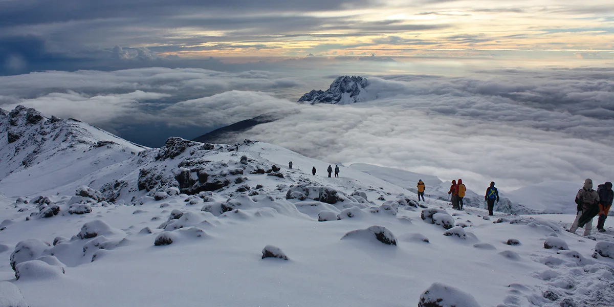 International Expeditions