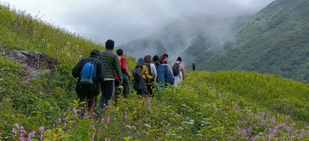 Valley of Flowers