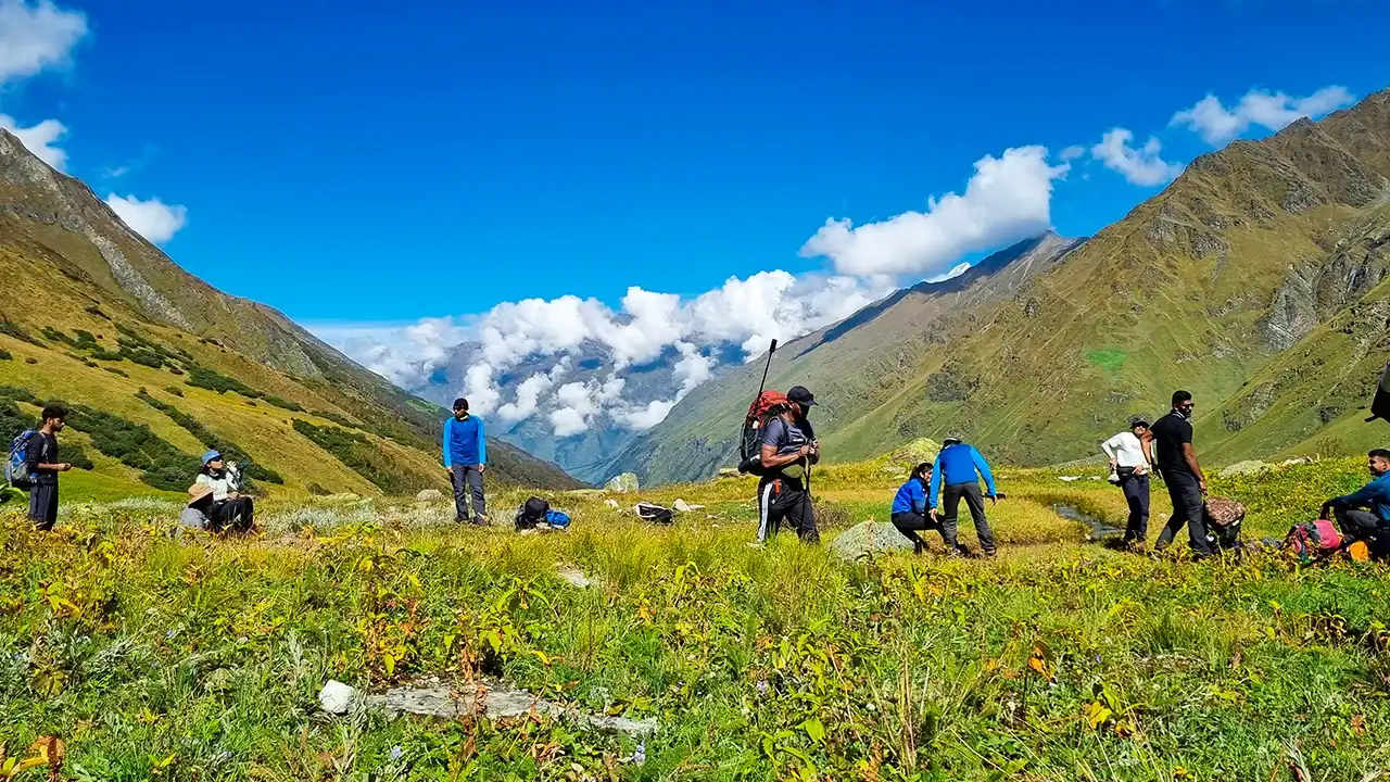 bali pass, visit to bali pass, hikes of bali pass, bali pass meadows, bali pass landscape, trek the himalayas