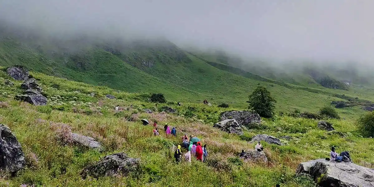 Beginner friendly 
trek- valley of flowers