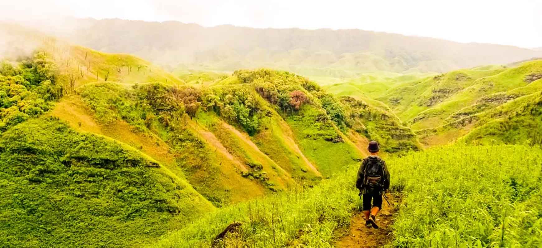 Dzukou Valley Trek