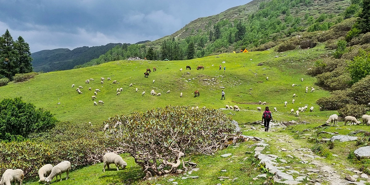 Phulara Ridge Trek