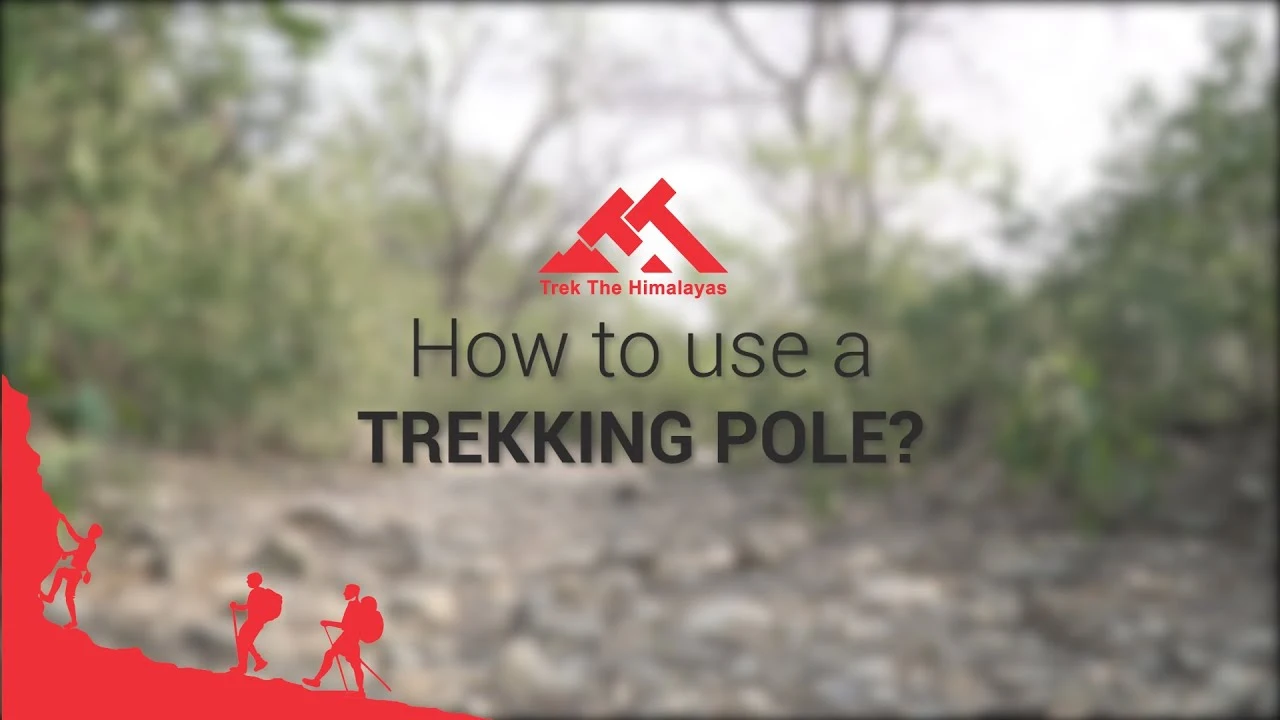 How to use a TREKKING POLE ? | Trek The Himalayas