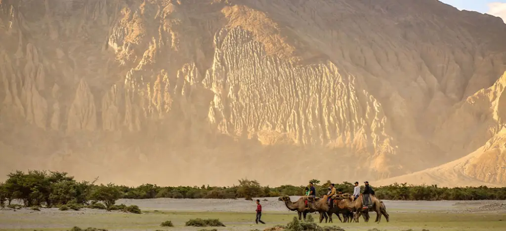 leh ladakh tour packages