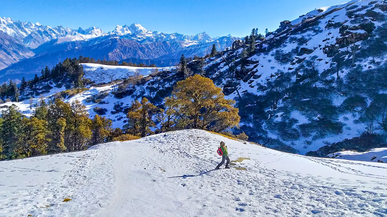 Trekker enjoying on snow-covered trails during Kedarkantha Trek – popular winter trek by Trek The Himalayas