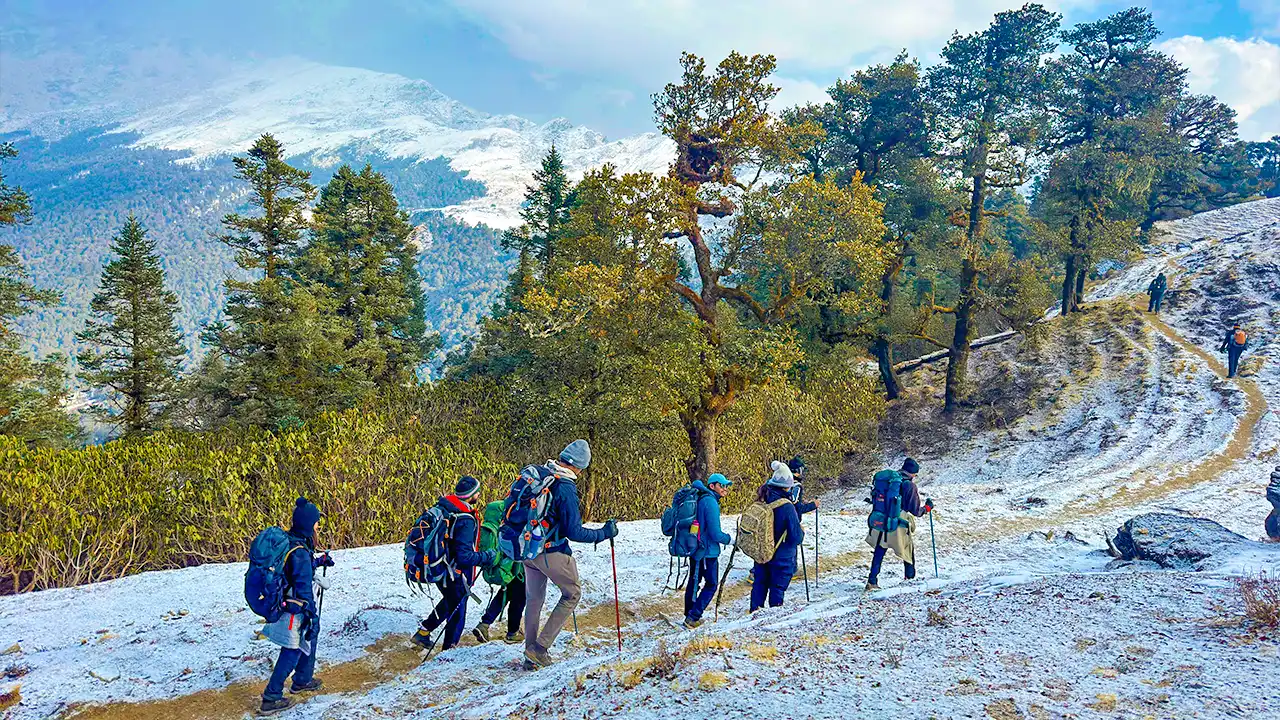 On Day 6 of the Brahmatal Trek, trekkers drive back to Rishikesh