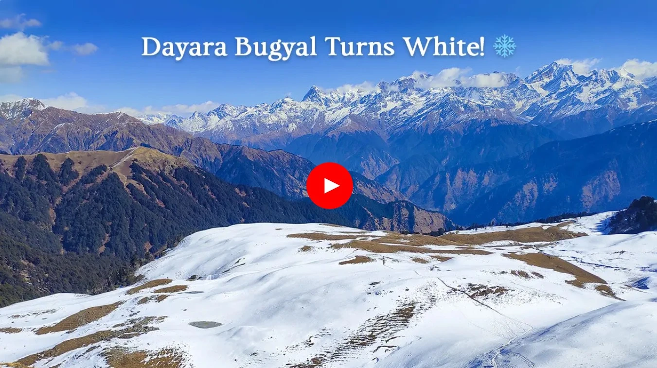 Snowfall Update from Dayara Bugyal Trek