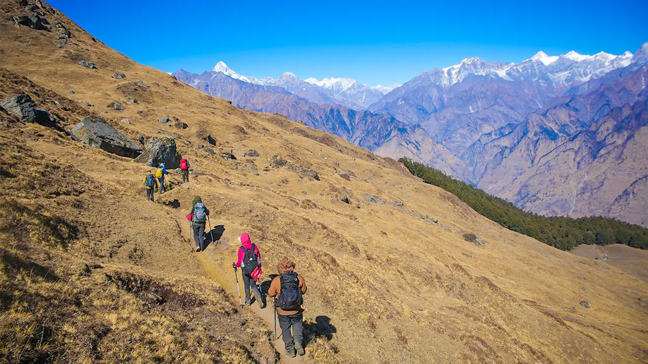 Trekkers walking along a scenic mountain trail of the Kuari Pass Trek