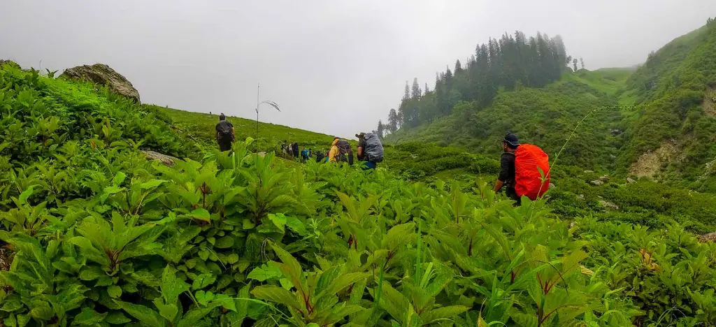Hampta Pass Trek