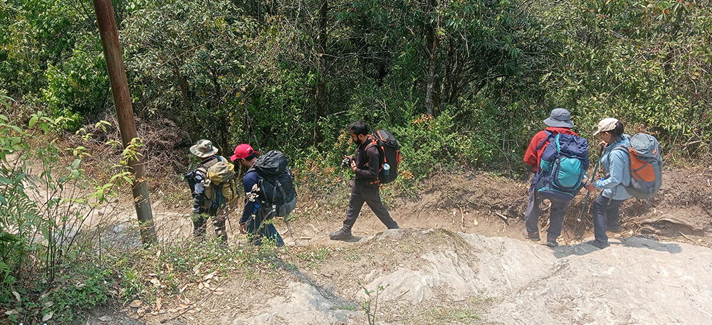 sandakphu itinerary day 7