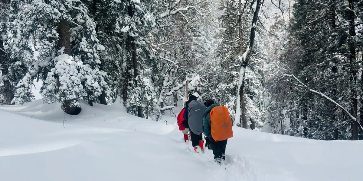 Latest weather update for all treks on 04 Feb 2026 | Trek The Himalayas