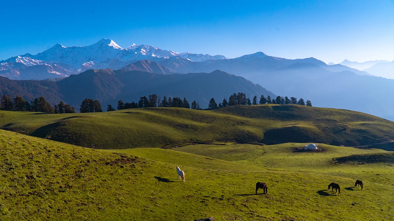Dayara Bugyal trek, Dayara Bugyal view, visit to Dayara Bugyal, trek the Dayara Bugyal, Dayara Bugyal hikes