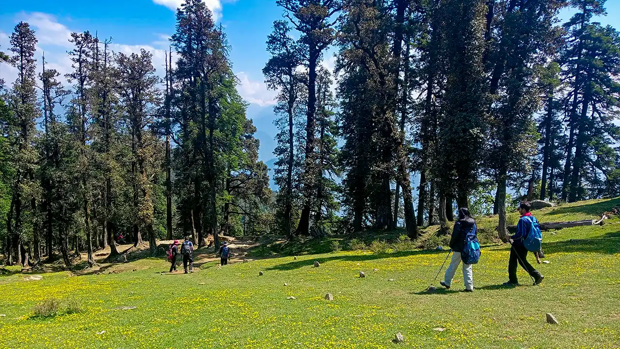 Trekkers enjoying the trek of kedarkantha in summer Season, Trek The Himalayas