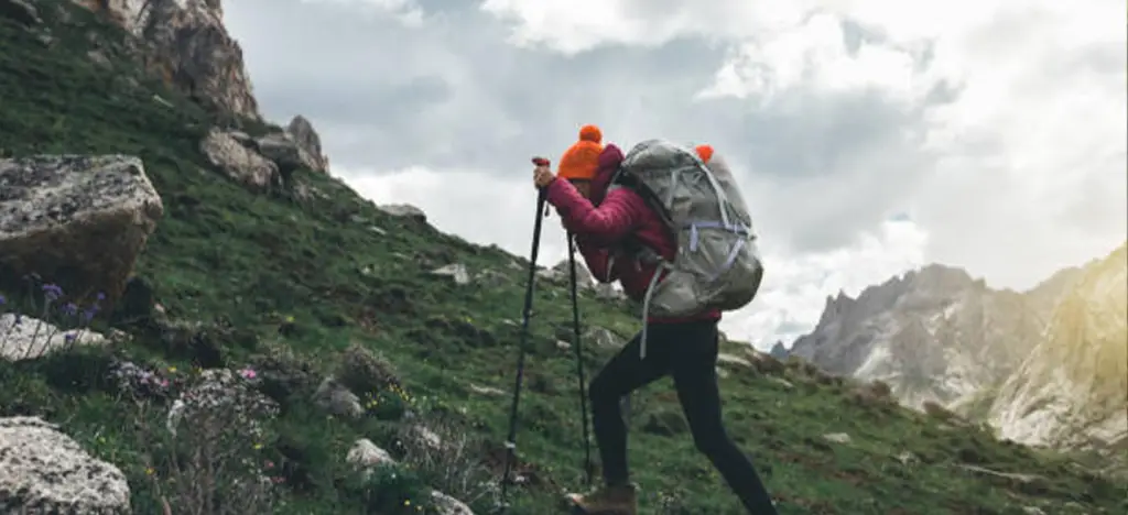 Walking Hacks in the Mountain with Trek The Himalayas