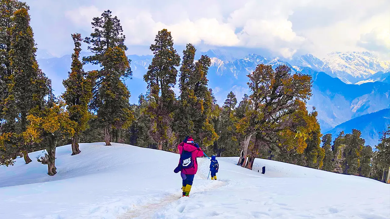 Trekker walking through the snowy trail of the Kedarkantha trek