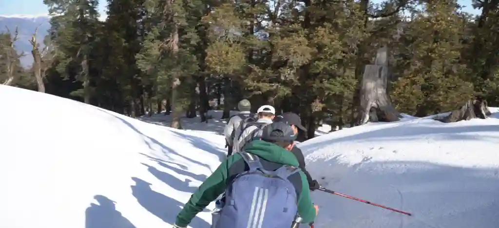 best trekking company in india