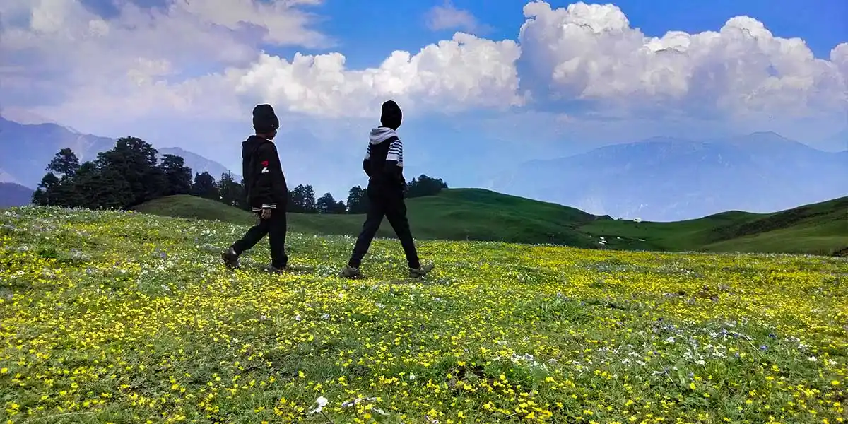 Dayara Bugyal Trek- Trek The Himalayas