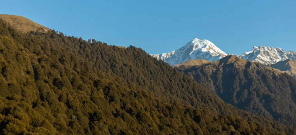 Dayara Bugyal Trek